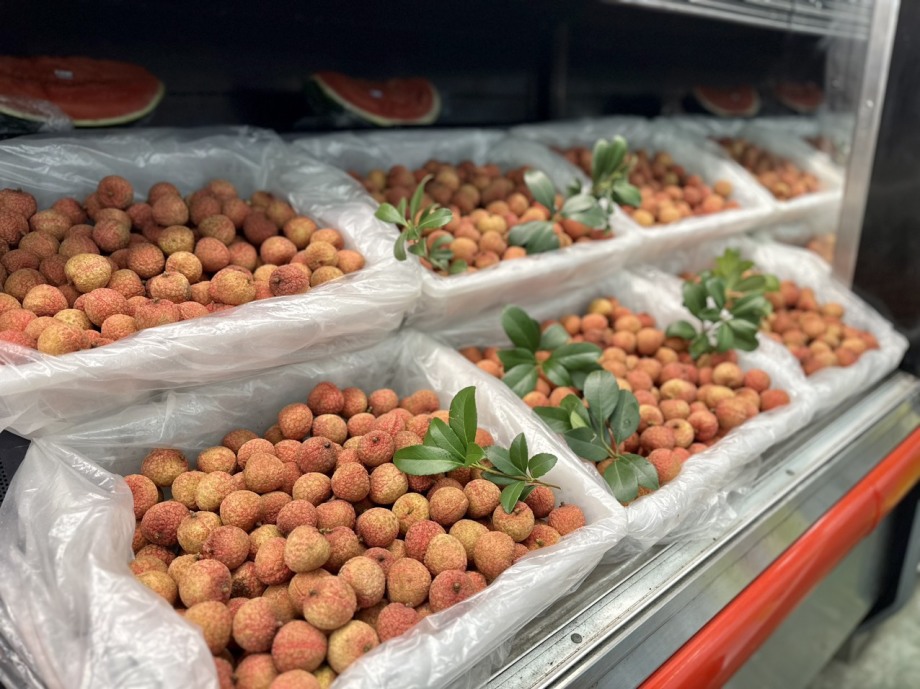 Plus de 10 tonnes de litchis vietnamiens expédiées en France par voie aérienne