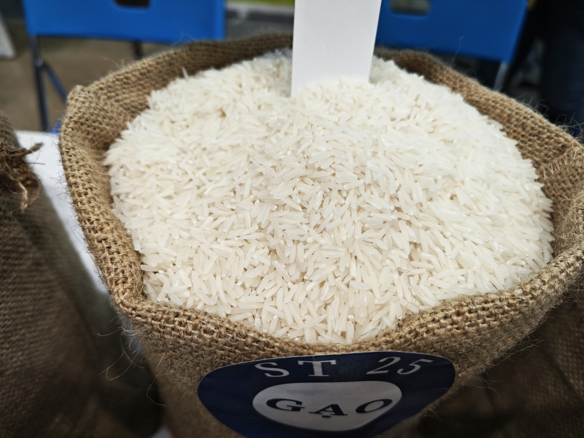 Le riz vietnamien tient bon sur le marché philippin