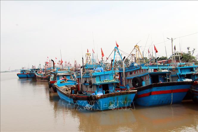 Planification du système national de ports de pêche et d abris anti-tempête pour les navires de pêche