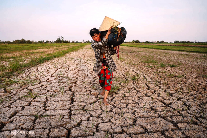 Climat juin 2024 encore plus chaud qu en 2023, plus d un an de records mondiaux