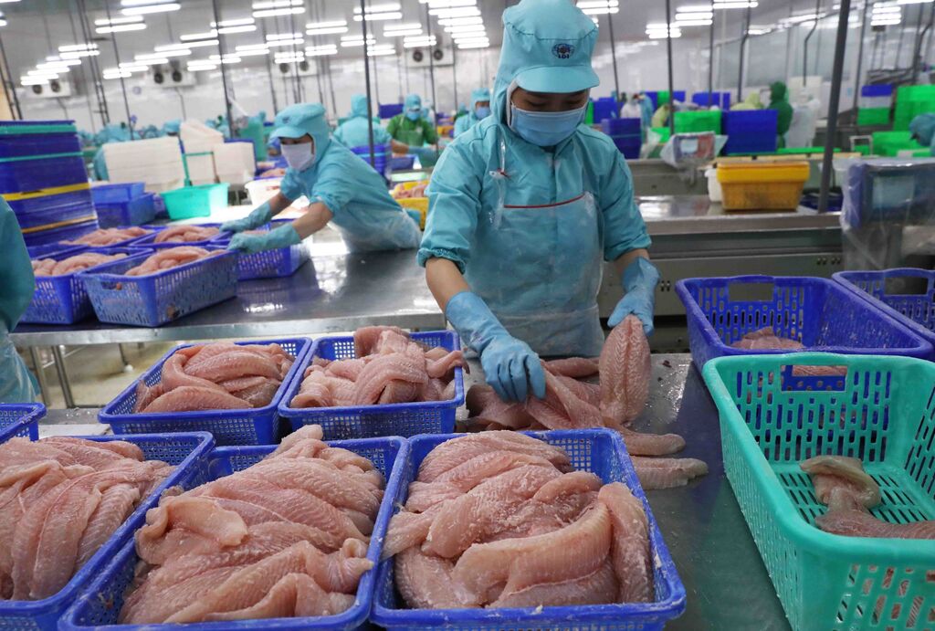 Les exportations de pangasius rebondissent