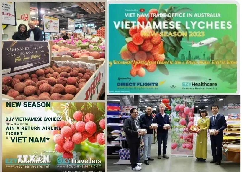 Le litchi vietnamien se vend bien dans les magasins Costco en Australie