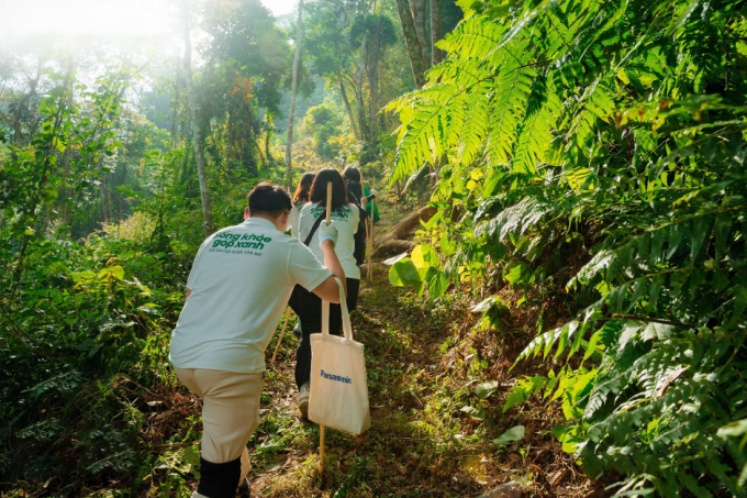 Panasonic Vietnam lance une campagne pour planter un million d arbres