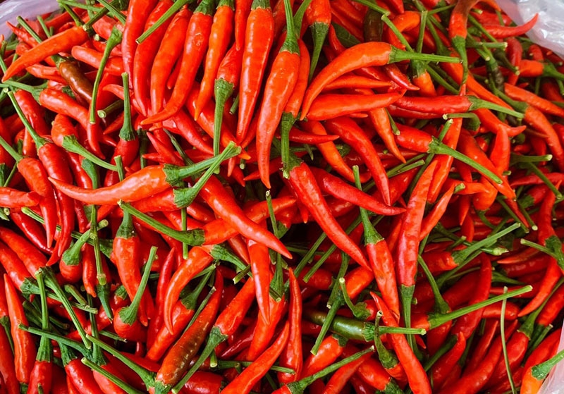 Croissance impressionnante des exportations de piments vers TaÏwan Chine