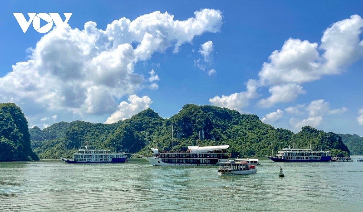 Deux excursions en bateau au Vietnam classées parmi les meilleures expériences au monde