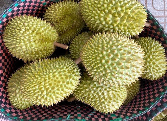 La valeur des exportations de durian devrait atteindre 3,5 milliards de dollars cette année