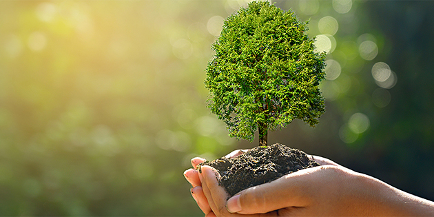 Développement des chaines de valeur dans la production biologique