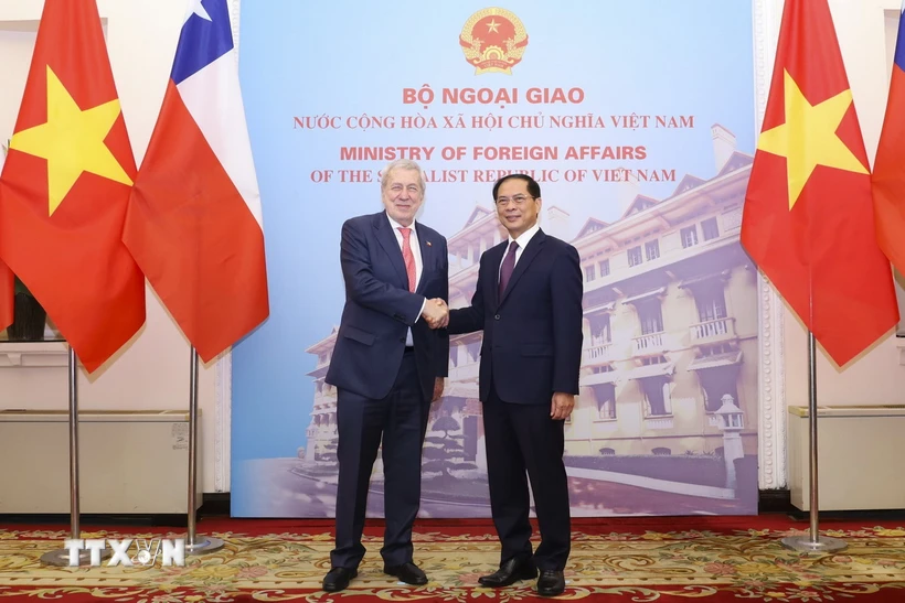 Le ministre vietnamien des AE Bui Thanh Son s entretient avec son homologue chilien Alberto Van Klaveren