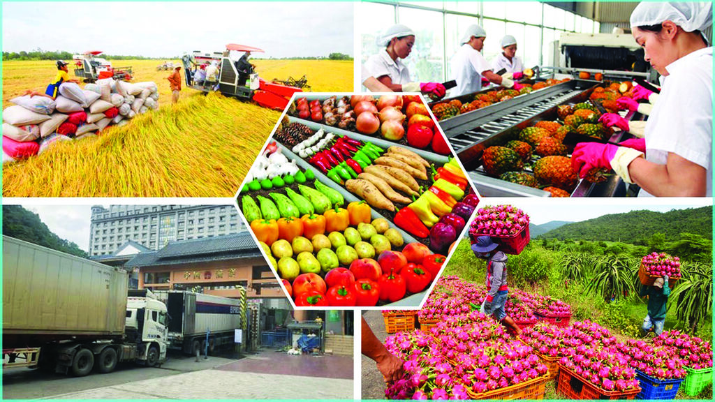 Vietnam, une nouvelle réussite de modèle de développement