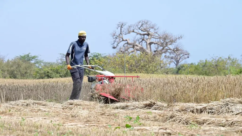 L ONU proclame le 6 juillet Journée mondiale du développement rural