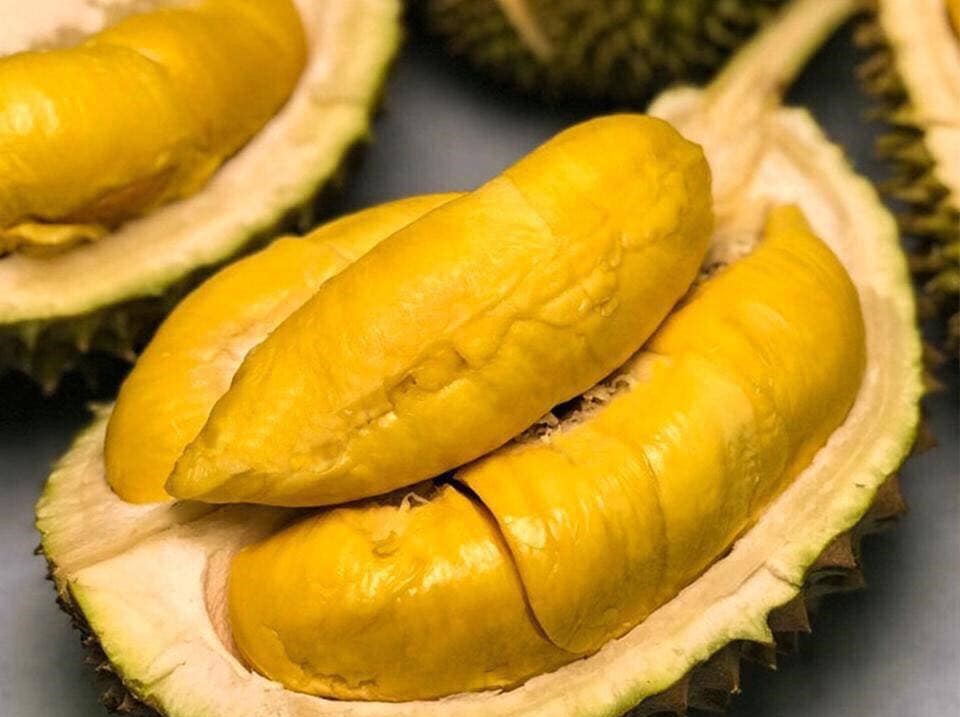 De nombreux pays augmentent leurs achats de durian vietnamien