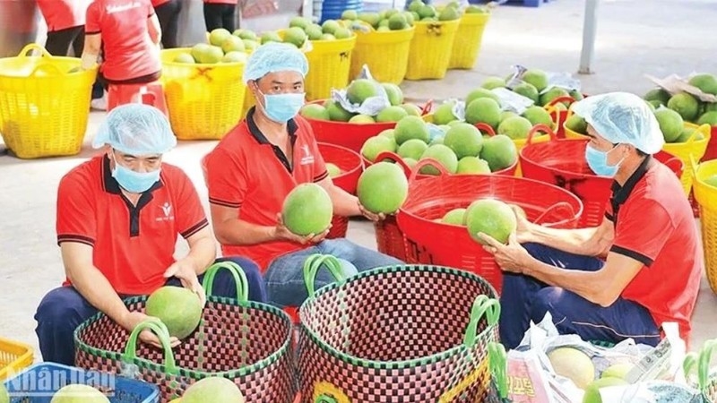 Les informations marquantes du 17 août