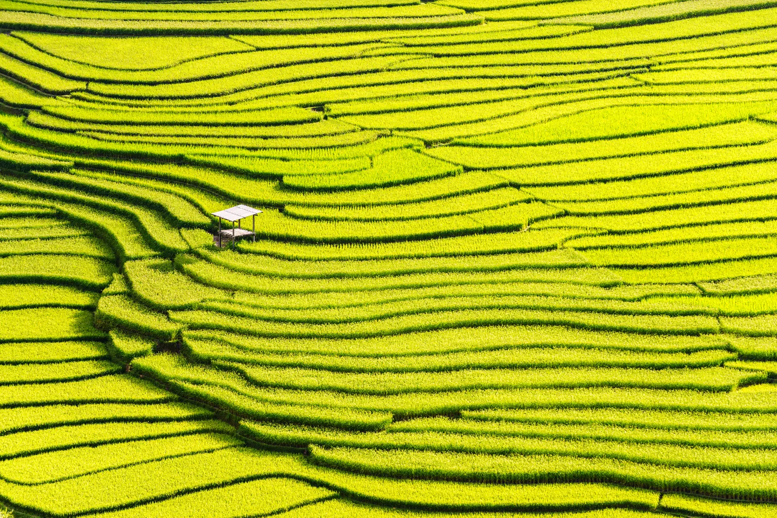 Le Vietnam parmi les destinations en octobre