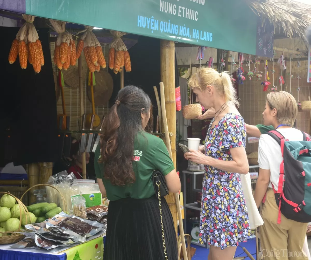 La culture et le peuple du Vietnam s attirent les louanges d experts étrangers