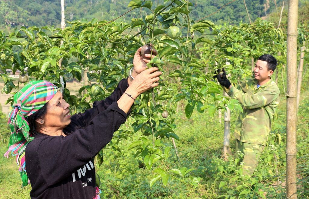 Accord d accès aux marchés de produits agricoles entre l Australie et le Vietnam