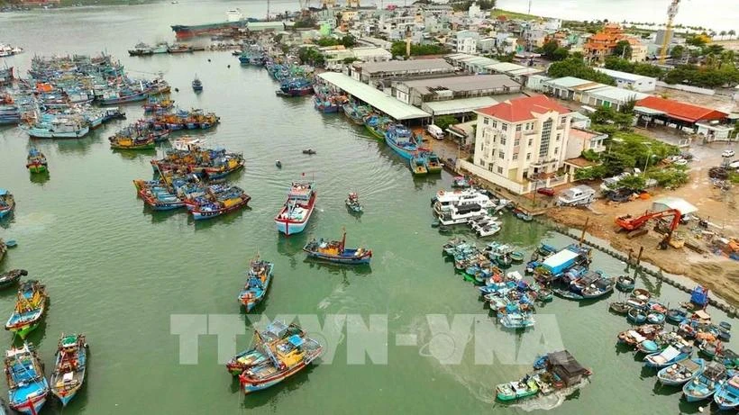 Le Vietnam va dans la bonne direction dans la lutte contre la pêche INN