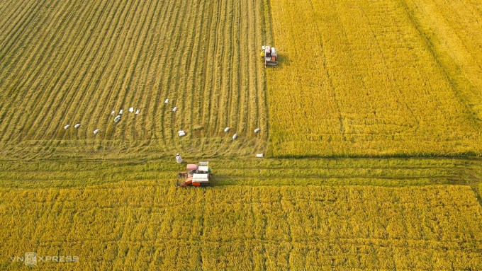 Crédit carbone Les agriculteurs du delta du Mékong recevront 40 millions de dollars