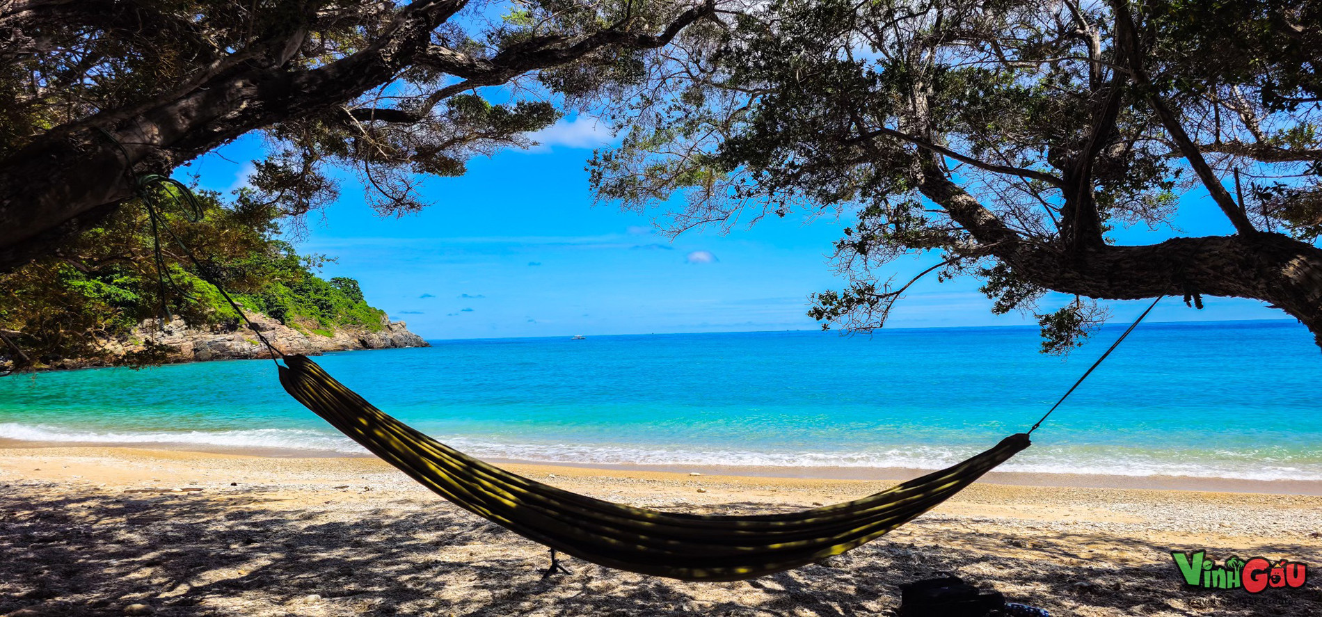 Con Dao participer à la conservation des tortues marines, une expérience inoubliable