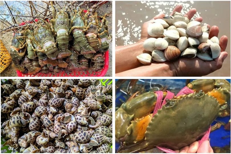 Plus d’un milliard de dollars d’exportations de produits aquatiques vers la Chine