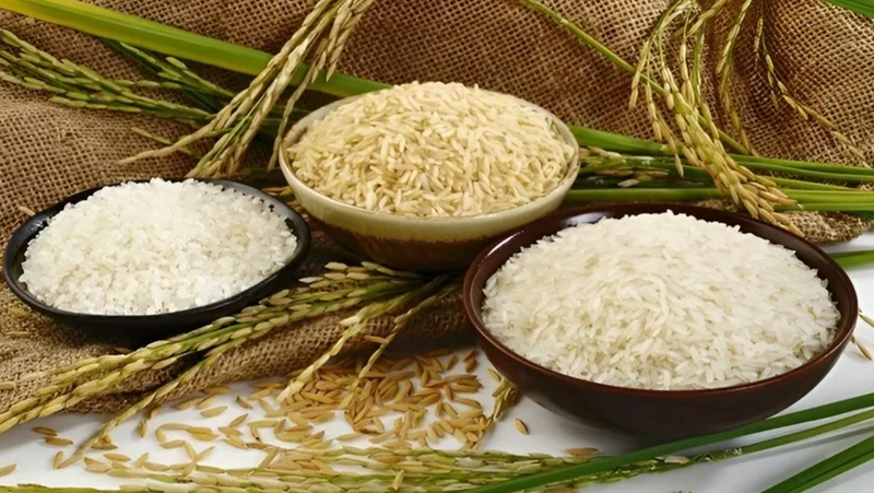 Le Vietnam enregistre une forte augmentation des importations de riz au cours des neuf premiers mois de cette année