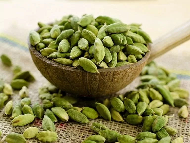 Le Vietnam gagne 20 millions de dollars grâce à la troisième épice la plus chère au monde