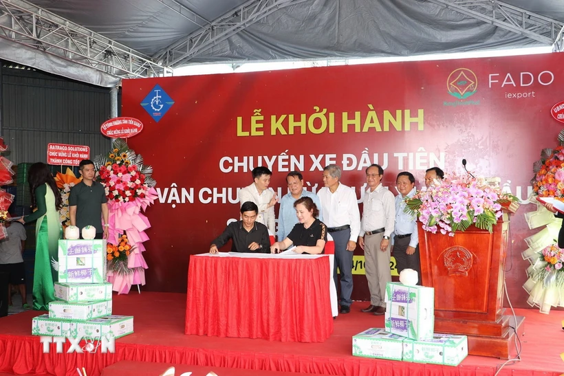 Tien Giang exporte son premier lot de noix de coco fraîches vers la Chine