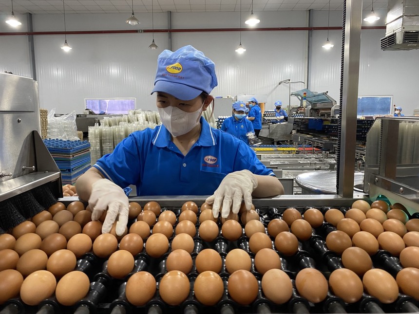 Les entreprises renforcent leurs investissements dans l agroalimentaire