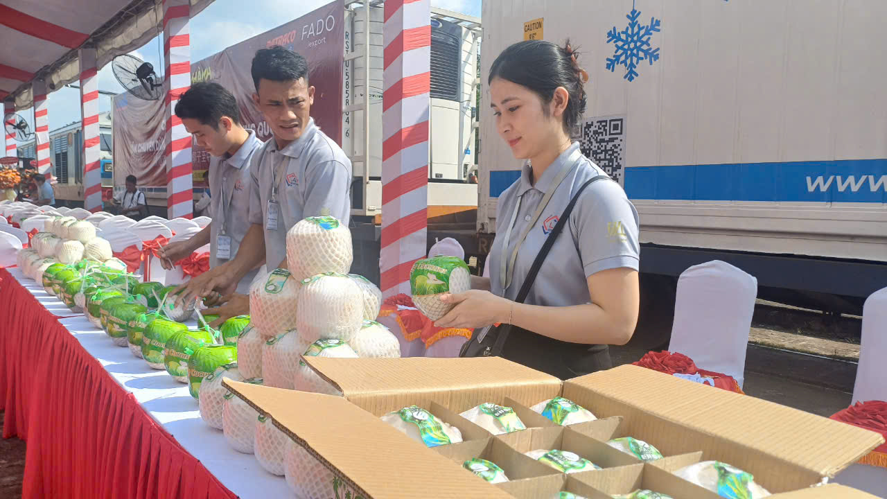 Exporter continuellement des noix de coco fraîches vers la Chine