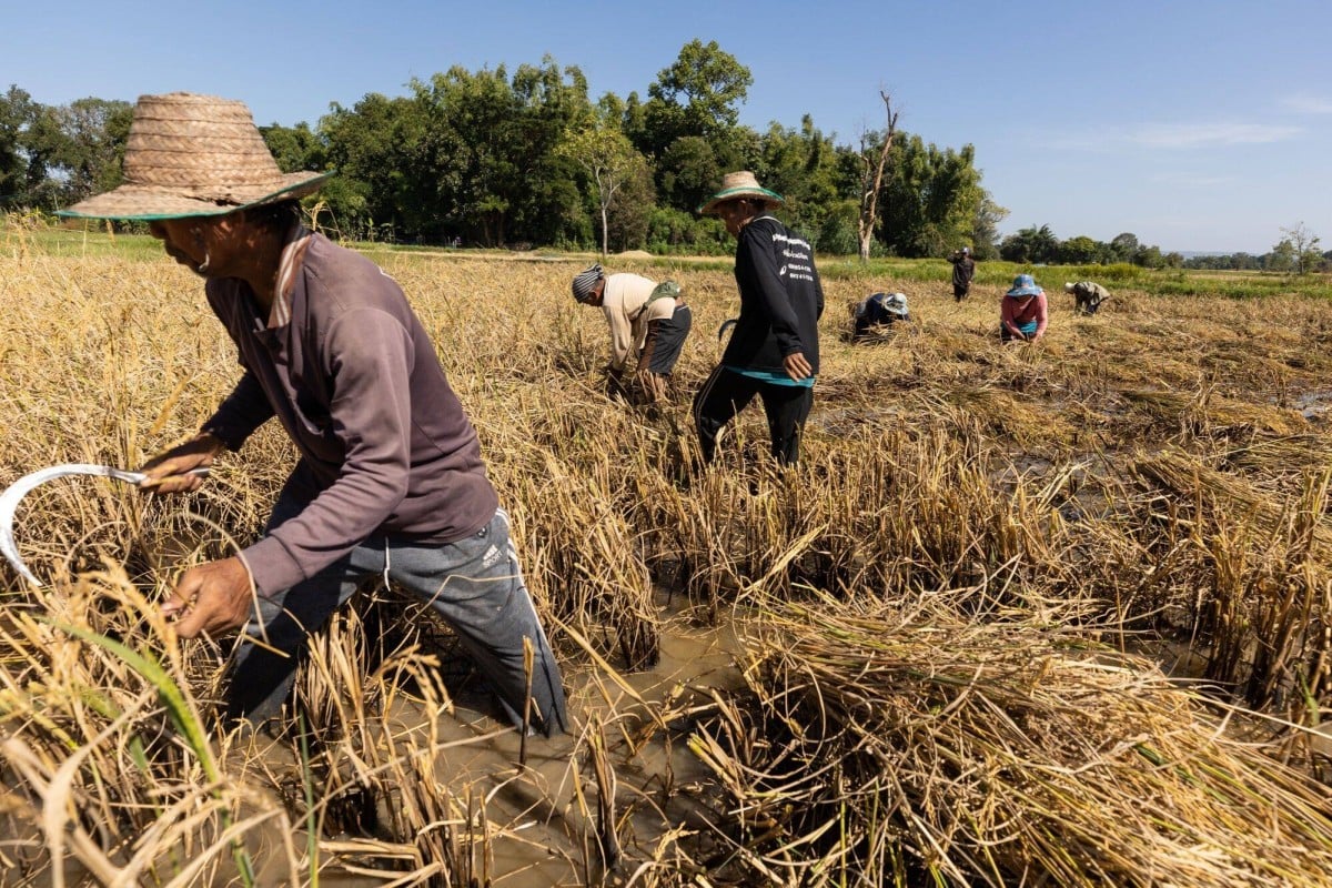 BAD Le changement climatique pourrait coûter 17 de PIB par an à l Asie-Pacifique