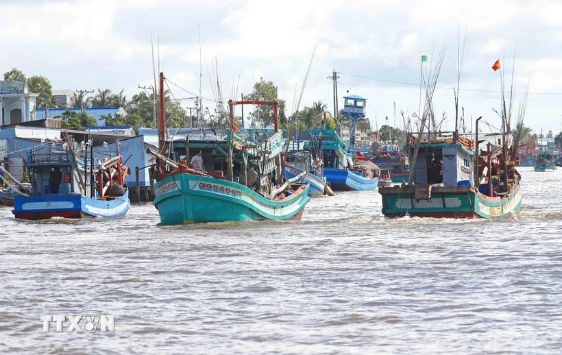 Ca Mau contrôle strictement les bateaux de pêche de la catégorie des «3 Non»