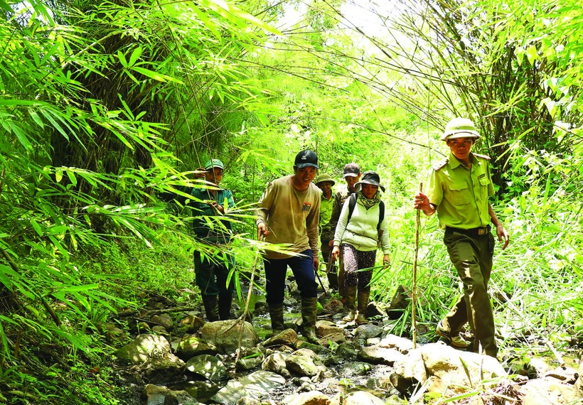 Yok Dôn un sanctuaire écologique protégé par la communauté