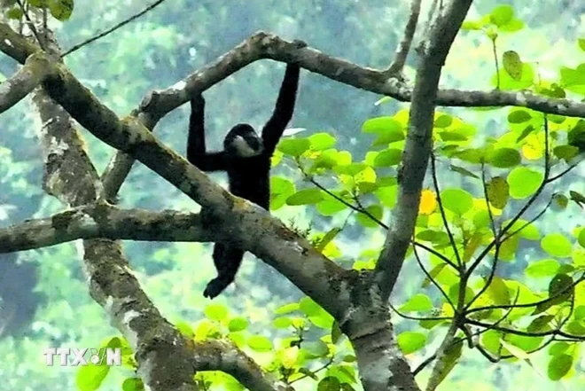 Approbation du plan national de conservation de la biodiversité à l horizon 2050