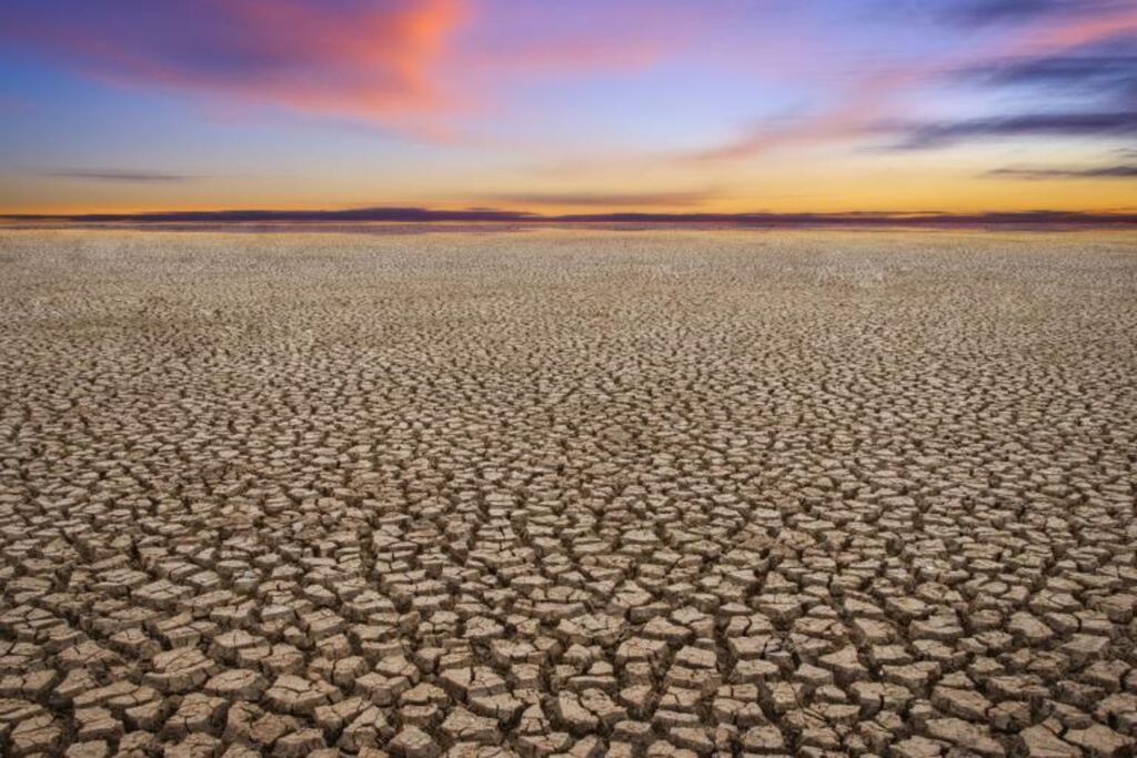 L’année 2024 en passe de devenir l’année la plus chaude jamais observée
