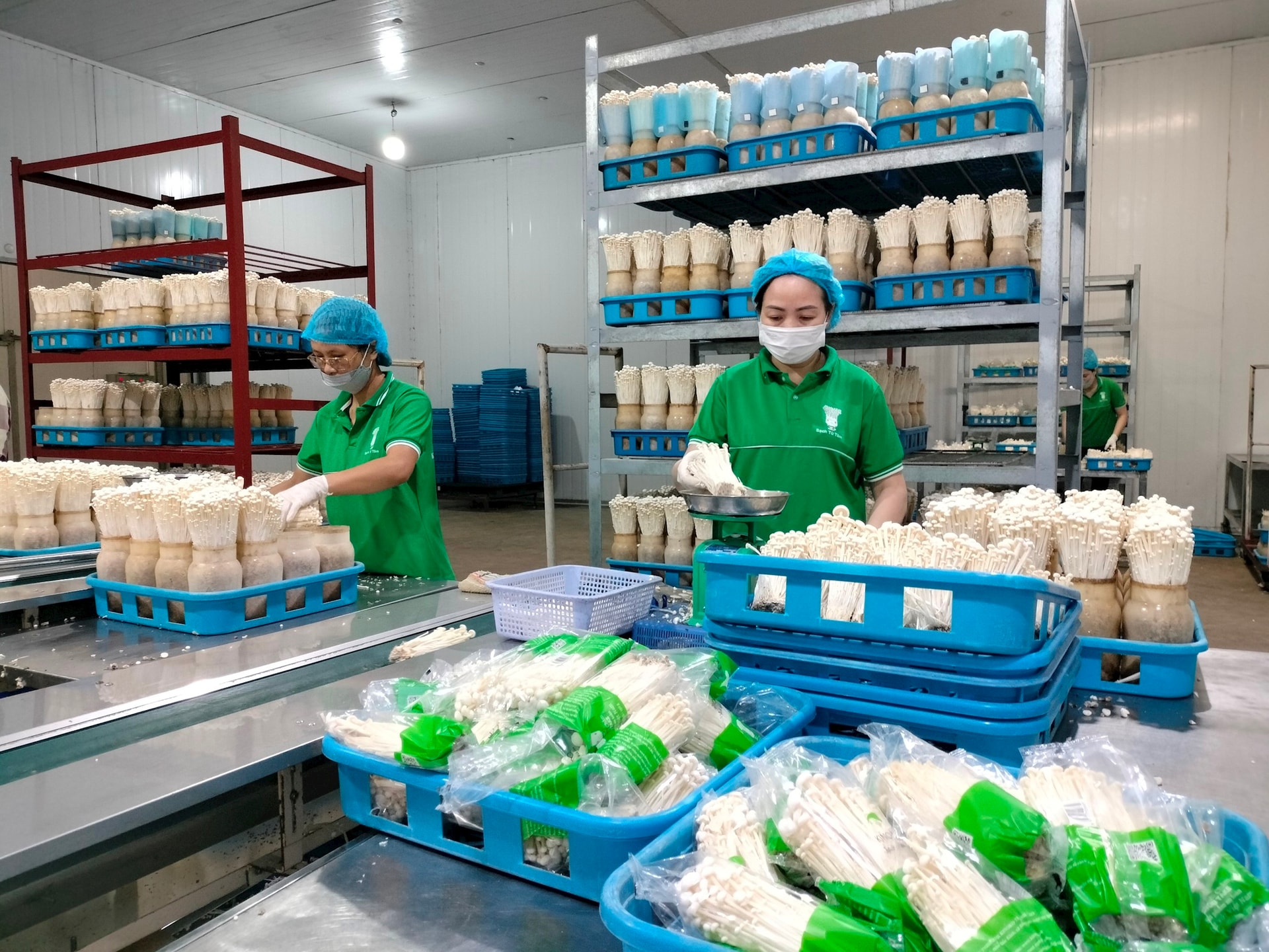 De nombreuses entreprises d exportation de produits agricoles ont des commandes pour 2025