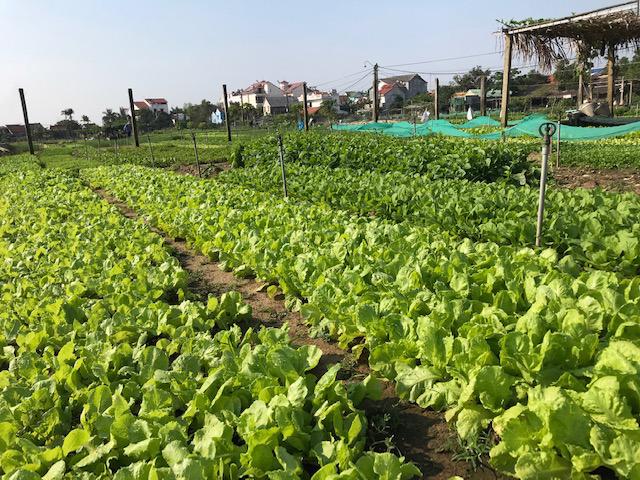 Un projet de Hoi An récompensé aux prix Kotler 2024