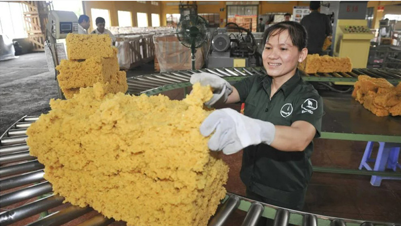 Les États-Unis, un marché clé pour le caoutchouc vietnamien
