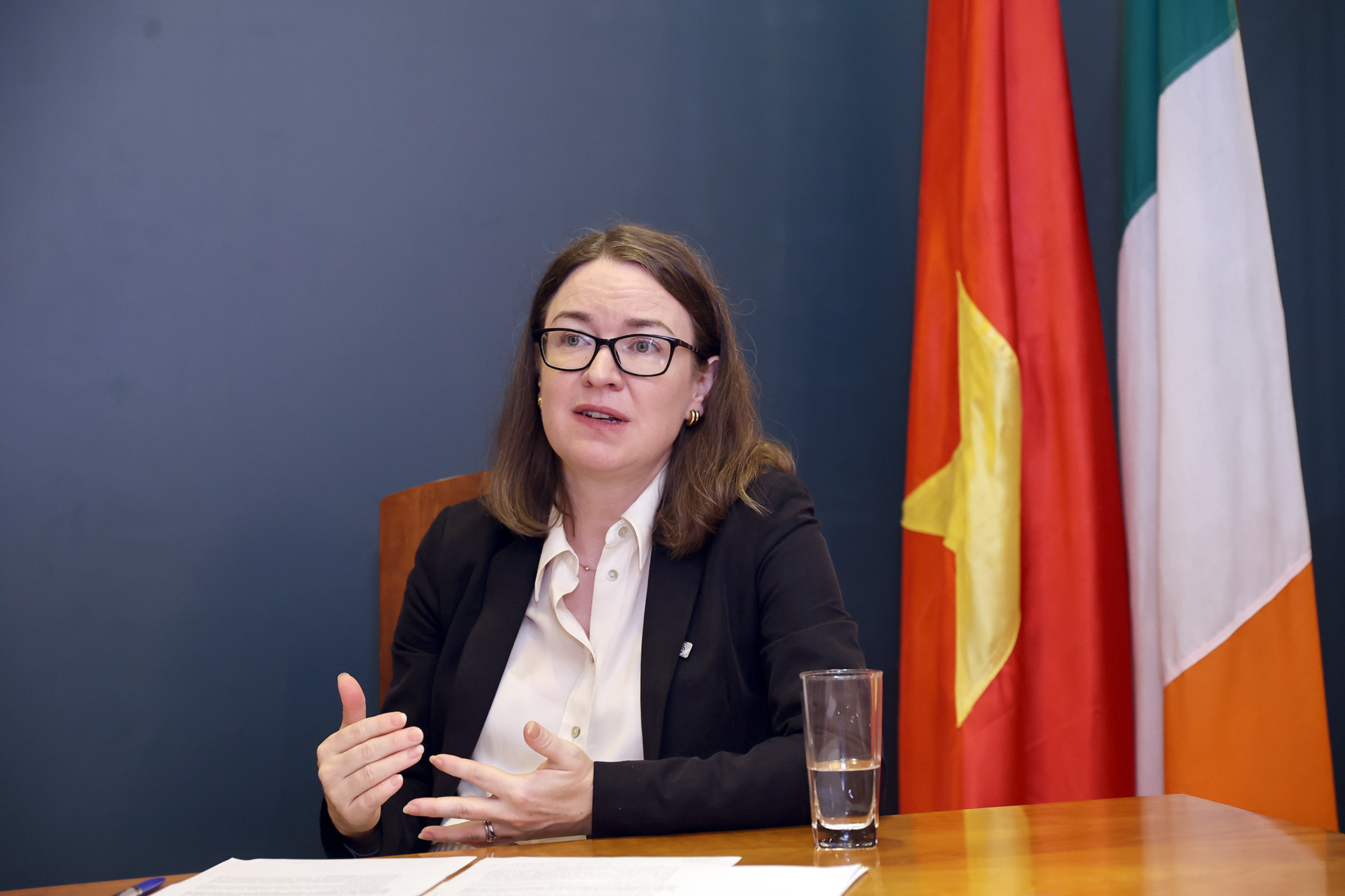 Vietnam-Irlande Une coopération fructueuse en plein essor