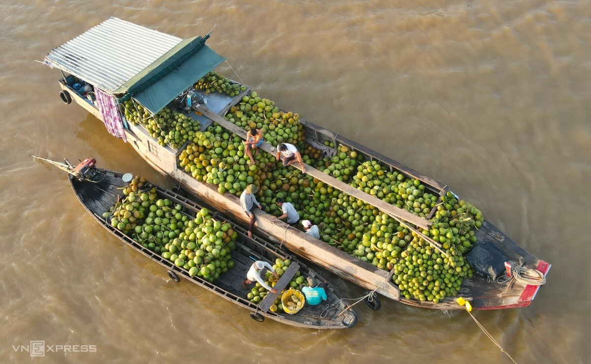 Le marché flottant de Long Xuyen, cœur battant de la tradition fluviale
