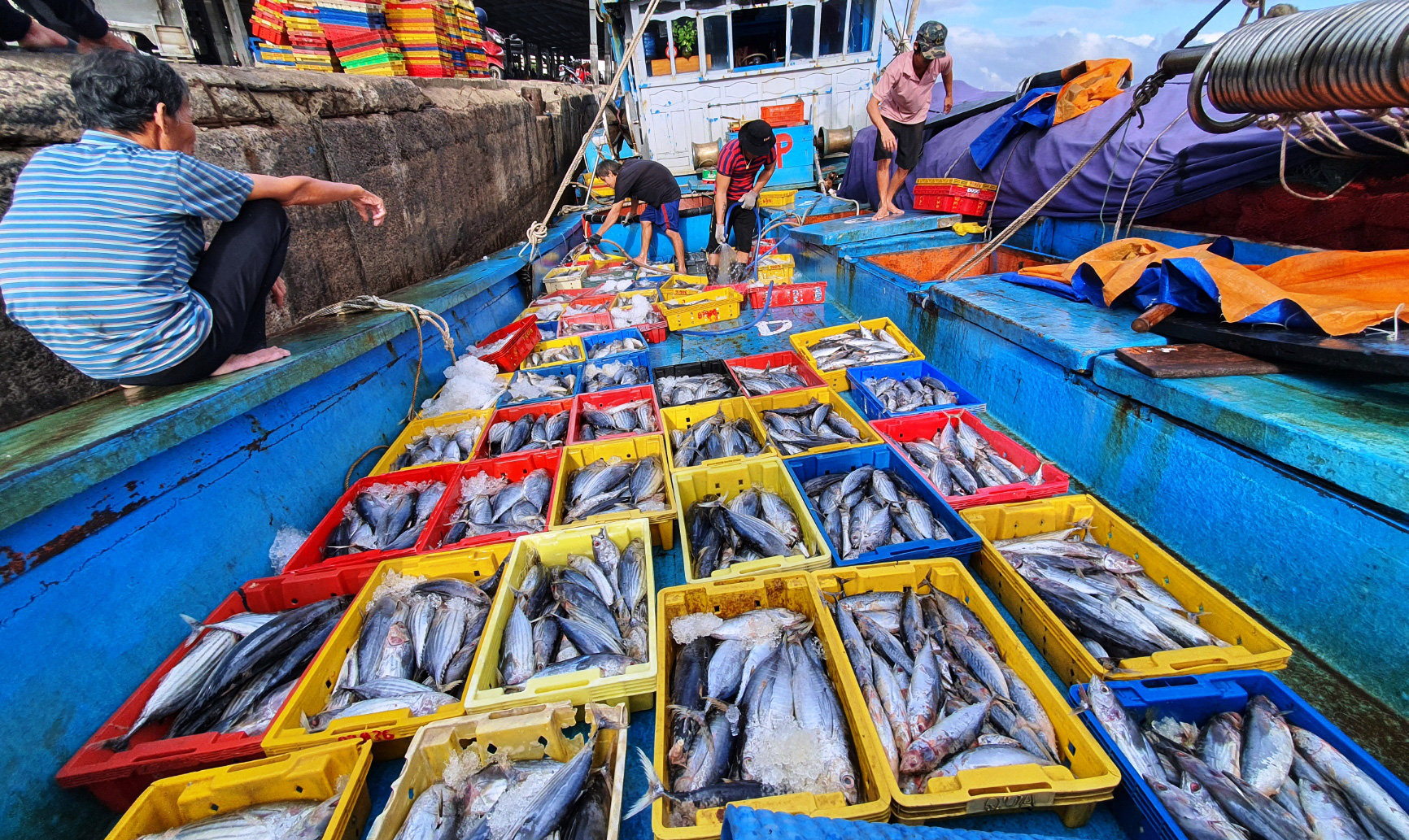 Les États-Unis soutiennent la lutte du Vietnam contre la pêche illégale