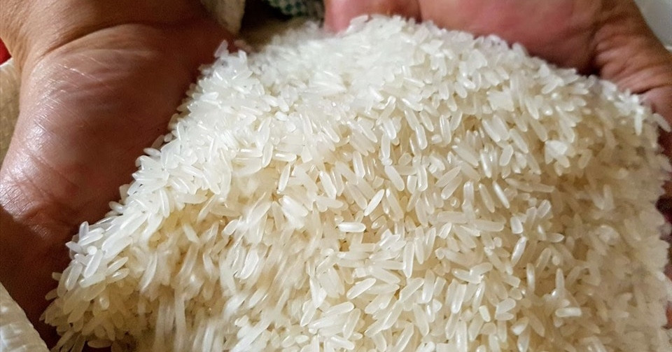 L Indonésie continue de fournir du riz aux pauvres