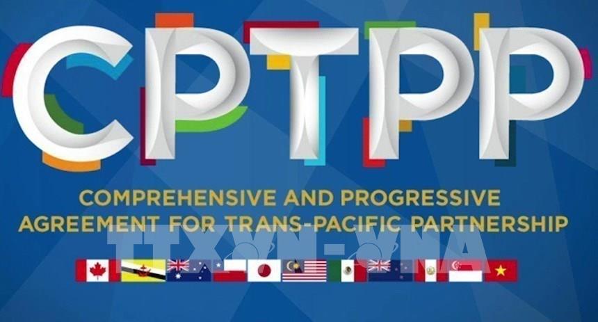 Le Royaume-Uni rejoint officiellement le CPTPP