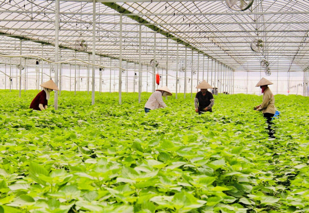 Bac Ninh Mobilisation des investissements verts