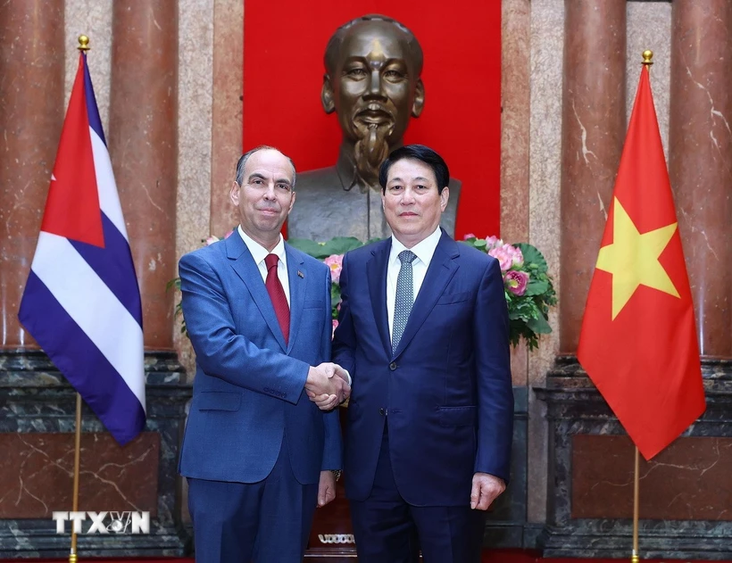 Le président Luong Cuong reçoit les ambassadeurs de différents pays