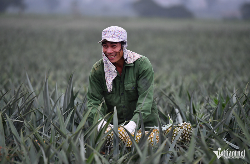 Les informations marquantes du 25 décembre