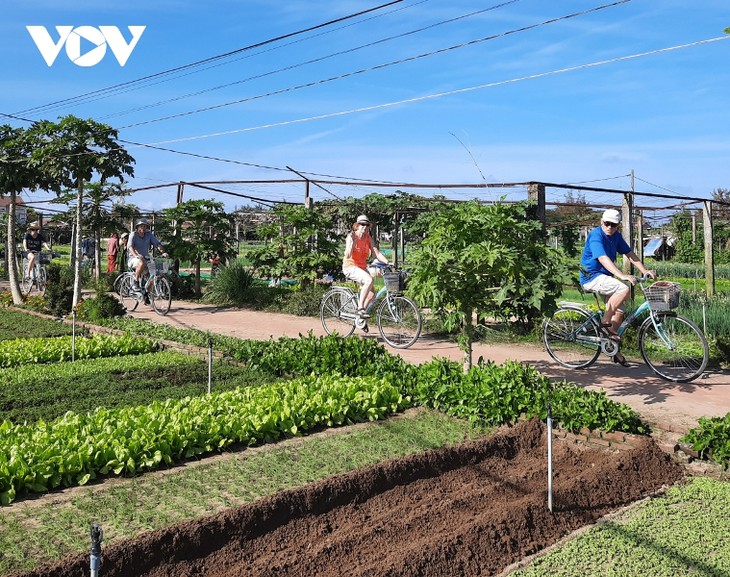 多家外国媒体记者参加“广南之体验”活动