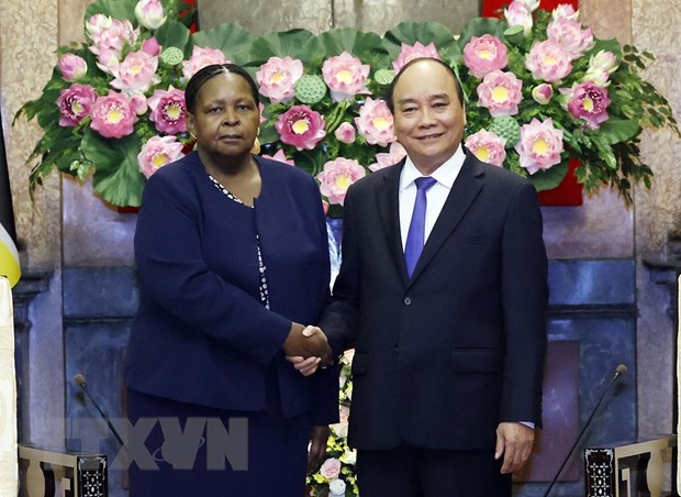 越南将莫桑比克视为其在非洲的重要合作伙伴之一