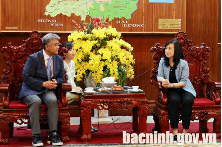 北宁省省委书记与韩国大宇工程建设集团主席举行工作会议