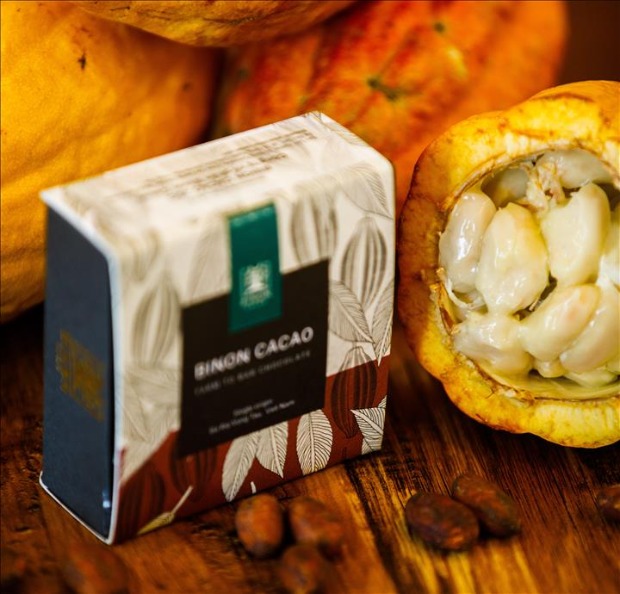 越日企业合作：可可豆经济、旅游两手抓