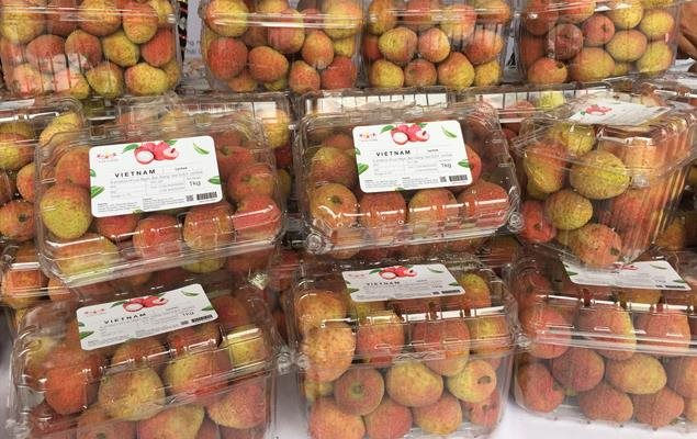 越南荔枝在澳售价为 60万越盾 公斤