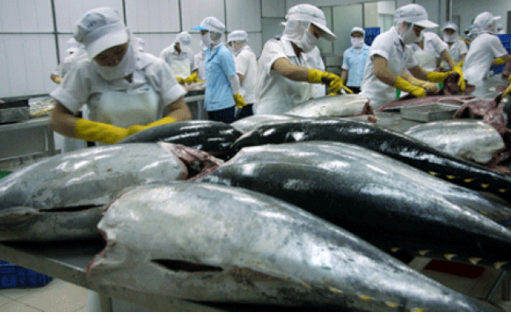 2022年越南金枪鱼出口预计超10亿美元